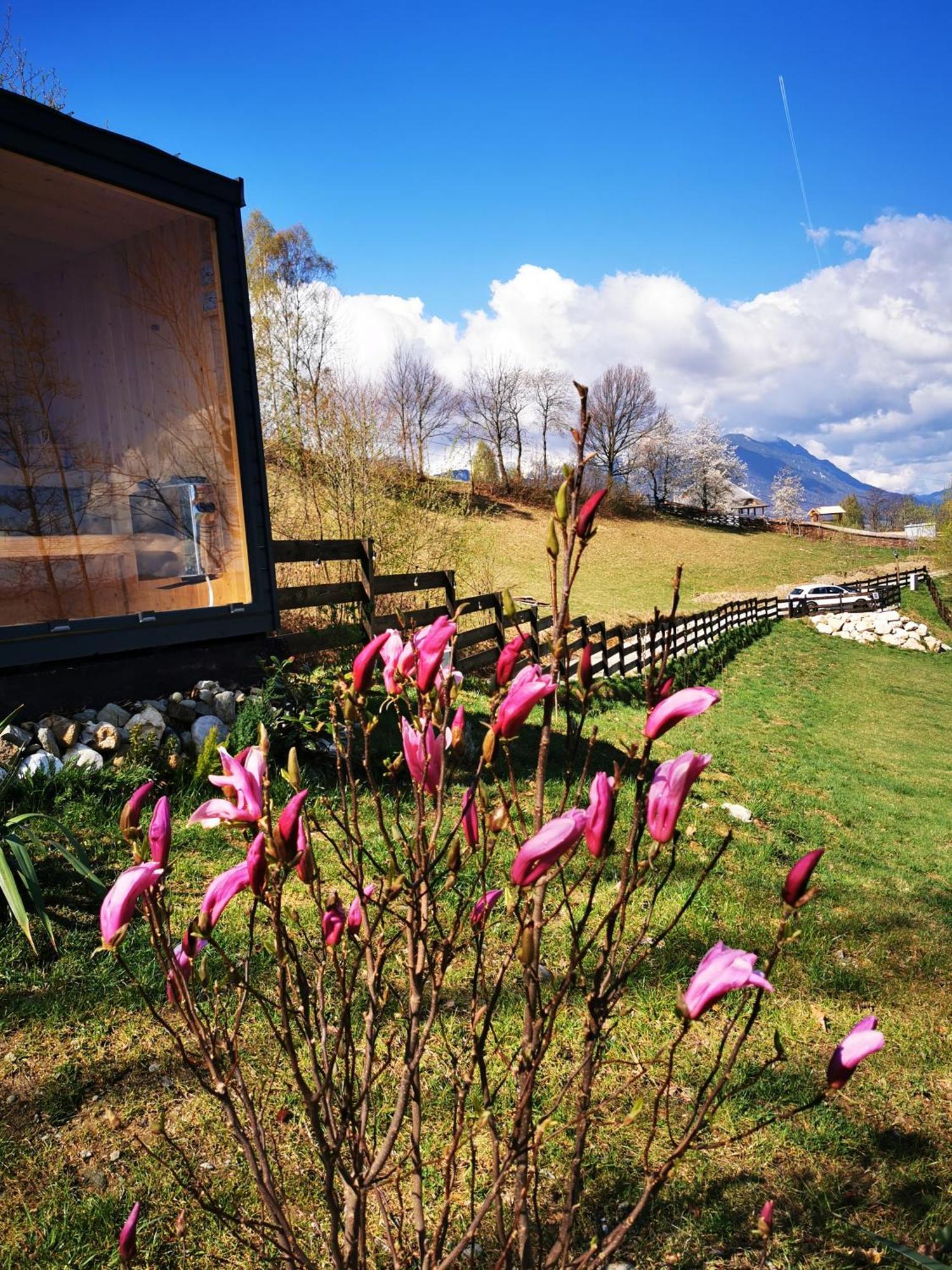 Doza De Verde Retreat&Spa Bran-Adults Only Sohodol  Zewnętrze zdjęcie