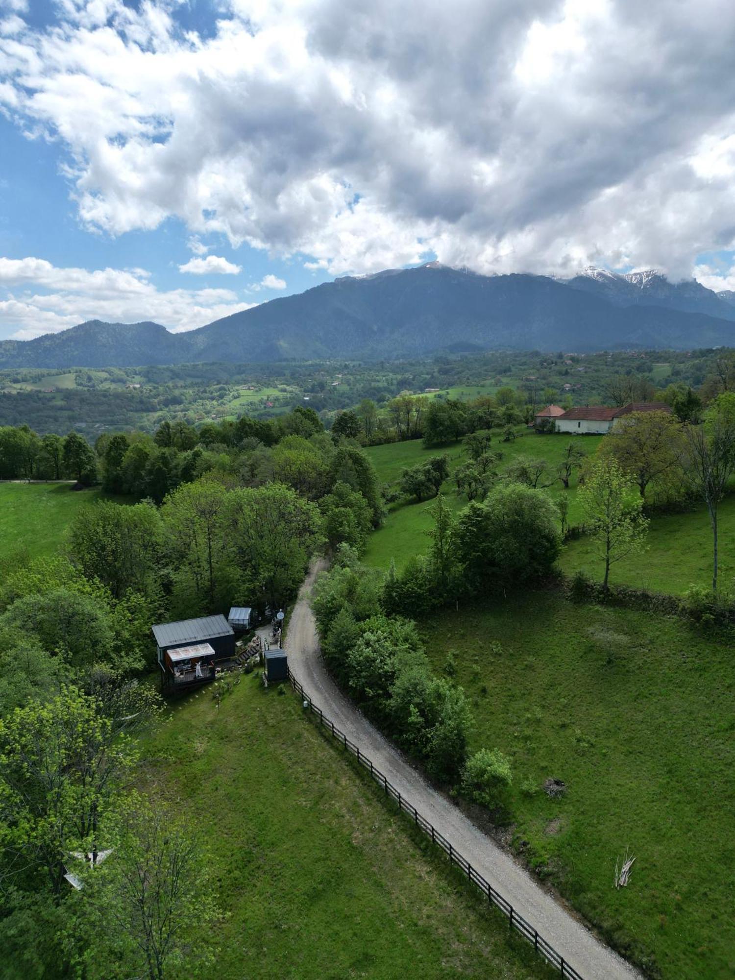 Doza De Verde Retreat&Spa Bran-Adults Only Sohodol  Zewnętrze zdjęcie